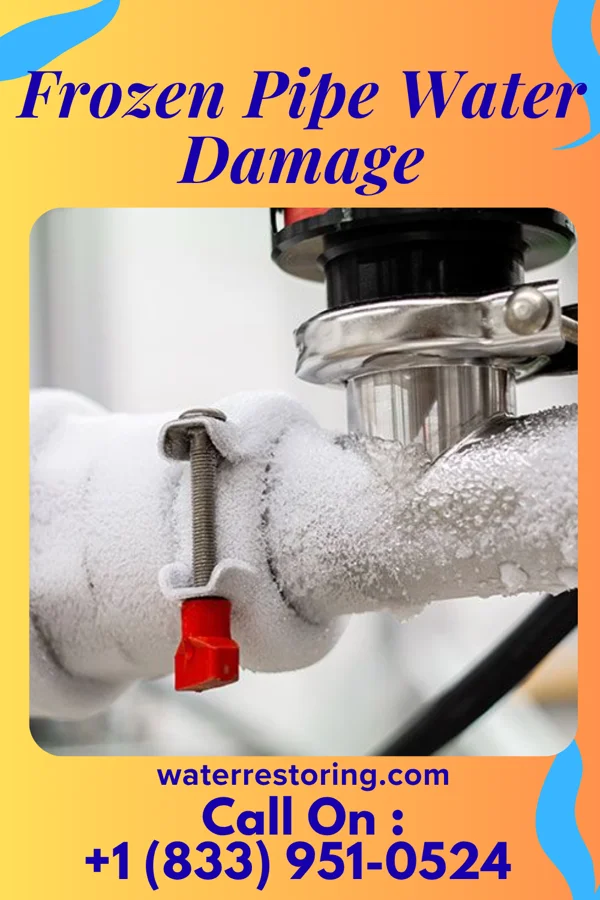 Frozen Pipe Water Damage in Wiscon, FL