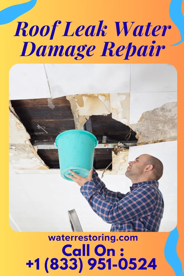 Roof Leak Water Damage Repair in Wiscon, FL