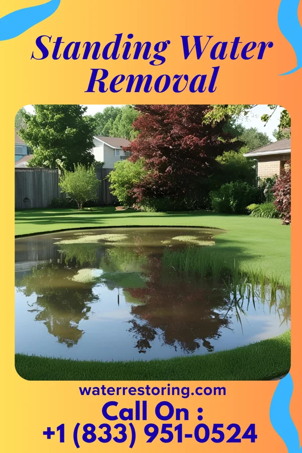 Standing Water Removal in Wiscon, FL